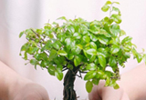 植物环保切削液能对铝合金材料切割有什么的作